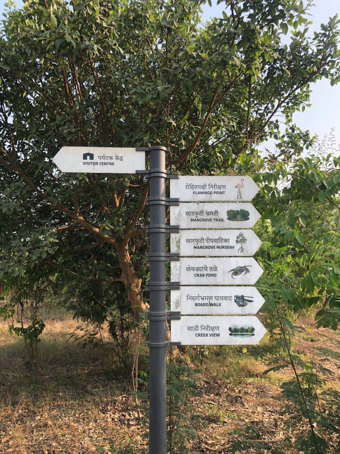 Thane Creek Flamingo Sanctuary boat safari: Offbeat Mumbai - The